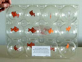 A complete aquarium from an apple box Small card fishes swimming in an apple box aquarium