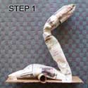 Swan Step 1 Swan Step 1