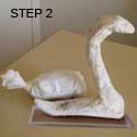 Swan Step 2 Swan Step 2