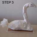 Swan Step 3 Swan Step 3