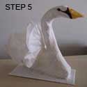 Swan Step 5 Swan Step 5