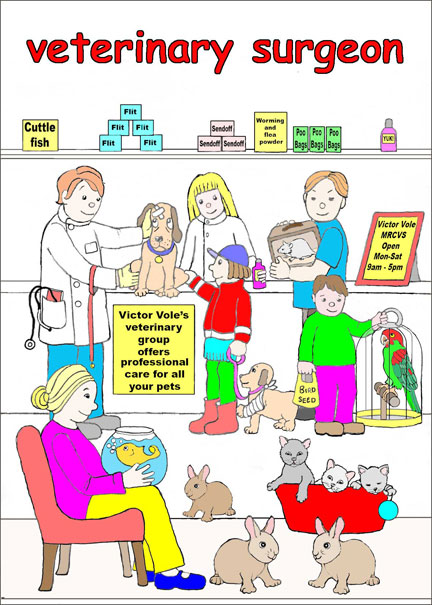 Veterinary Surgeon cares for pets Veterinary Surgeon cares for pets